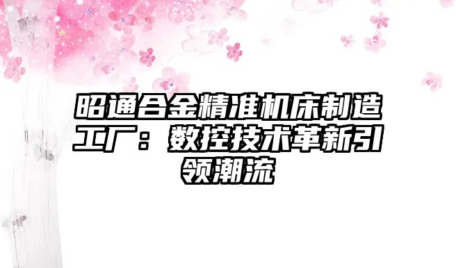 昭通合金精準機床制造工廠：數控技術革新引領潮流