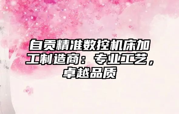 自貢精準(zhǔn)數(shù)控機(jī)床加工制造商：專業(yè)工藝，卓越品質(zhì)
