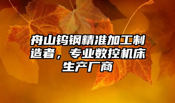 舟山鎢鋼精準加工制造者，專業數控機床生產廠商