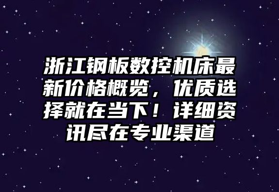 浙江鋼板數控機床最新價格概覽，優質選擇就在當下！詳細資訊盡在專業渠道
