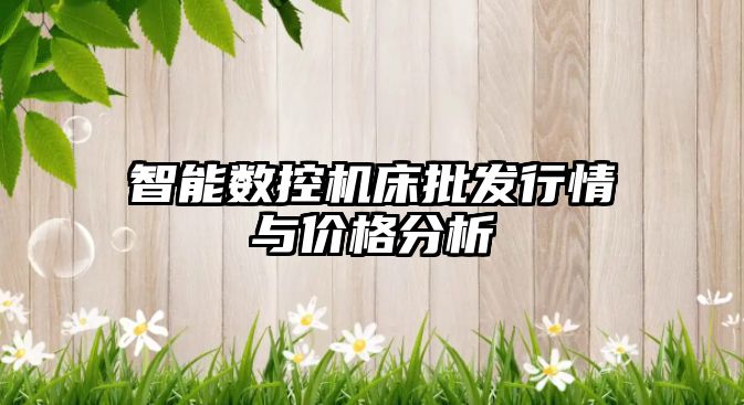 智能數控機床批發行情與價格分析