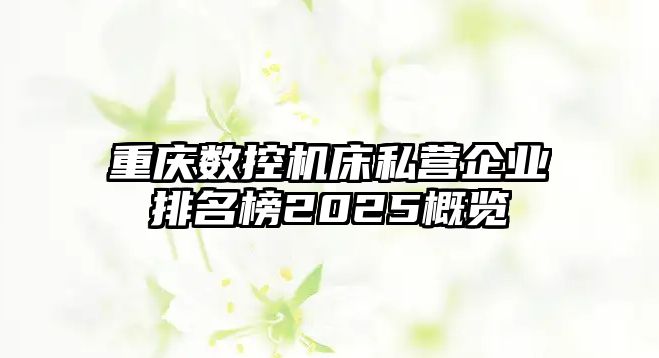 重慶數控機床私營企業排名榜2025概覽