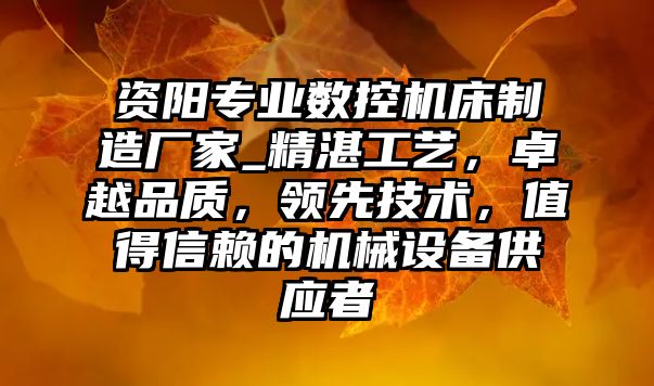 資陽專業(yè)數(shù)控機(jī)床制造廠家_精湛工藝，卓越品質(zhì)，領(lǐng)先技術(shù)，值得信賴的機(jī)械設(shè)備供應(yīng)者