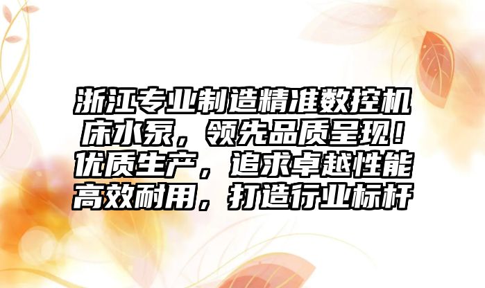浙江專業制造精準數控機床水泵，領先品質呈現！優質生產，追求卓越性能高效耐用，打造行業標桿
